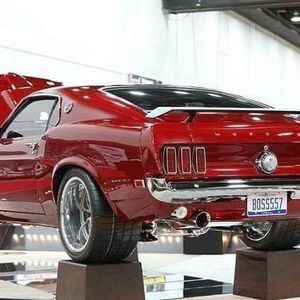 Meet your Posher, Wanda